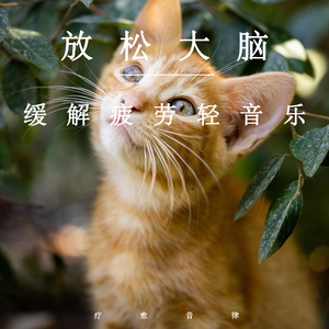 舞蹈裆部湿润对舞蹈的影响
